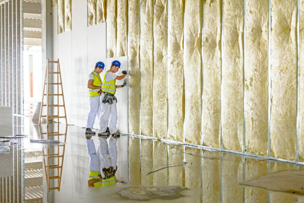 Best Cellulose Insulation in South Lockport, NY